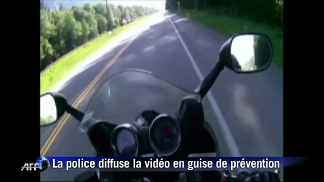 Canada: un ours percuté par une moto
