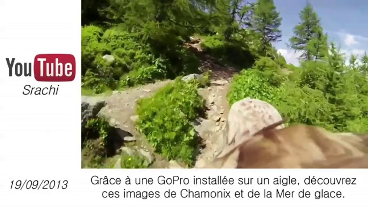 Le zapping insolite de la semaine en 1 min