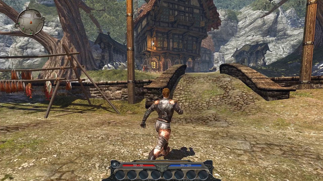 Divinity2 2014-05-30 20-20-17-792-muxed