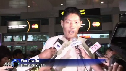 Le géant Birman rentre dans son pays