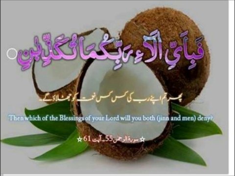 SURAH AL REHMAN QARI HANI AR RIFAI