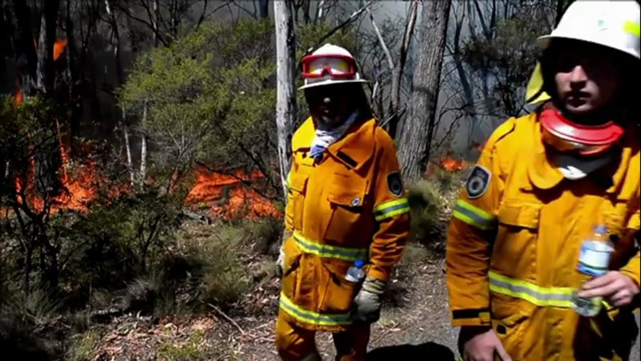 Incendies en Australie: 43 000 hectares ravagés