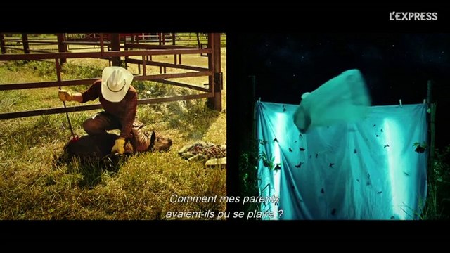 Jean-Pierre Jeunet: techniquement T.S Spivet est un film parfait