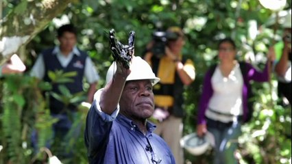 Danny Glover contre la compagnie pétrolière Chevron