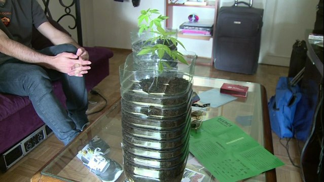 L'Uruguay est le premier pays au monde à légaliser la marijuana