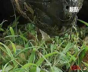 Be The Creature 30th May 2014 Video Watch Online Pt3