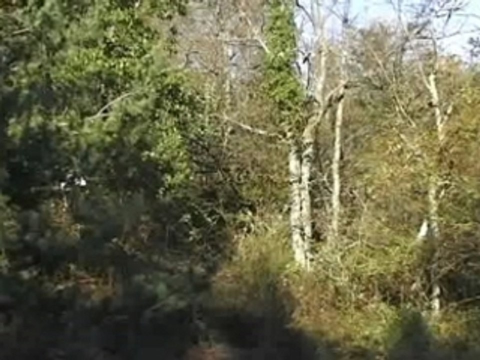 A Trop Tirer Sur Les Rennes partie1