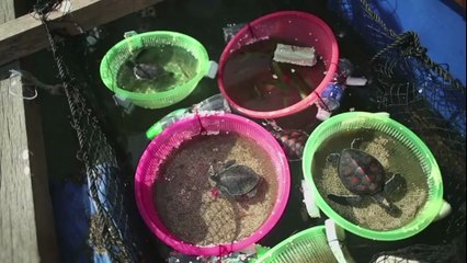 Chine: le surf en plein essor