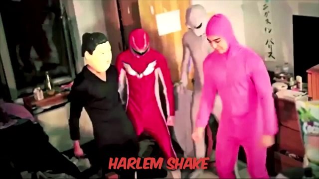 Focus Kids: la culture, c'est planter des tomates