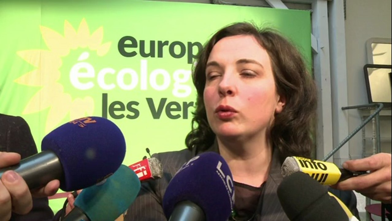 Transition énergétique: EELV attend du concret