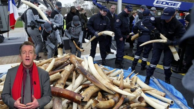 Oui, François Hollande doit aller à Sotchi - L'édito de Christophe Barbier