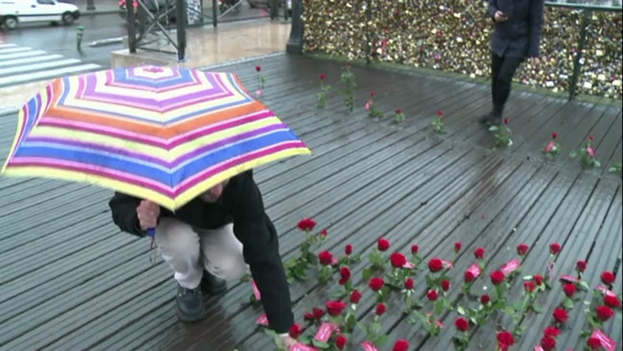 St Valentin: des roses sur le pont des Arts