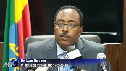 Détournement d'avion: le co-pilote pirate est jugé médicalement "sain"