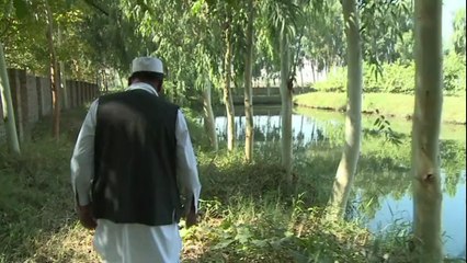 Afghanistan: la pisciculture peine à se développer