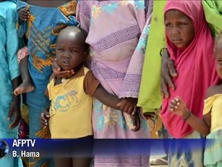 Des milliers de Nigérians trouvent refuge au Niger