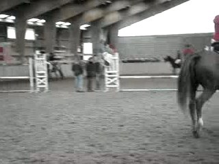 Detente m0i et Chouchou