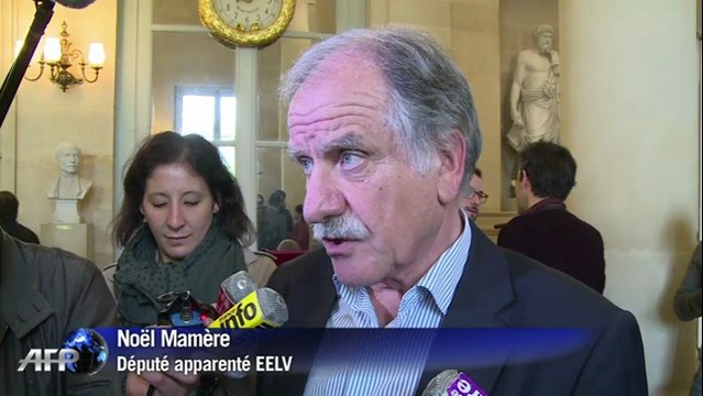 Gouvernement Valls: les Verts divisés sur le vote de confiance