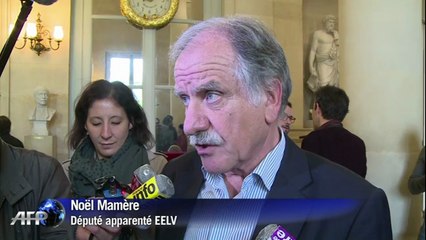 Gouvernement Valls: les Verts divisés sur le vote de confiance