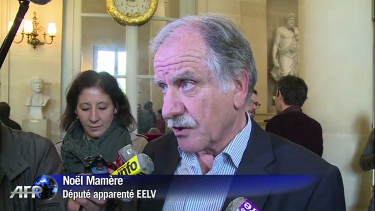 Gouvernement Valls: les Verts divisés sur le vote de confiance