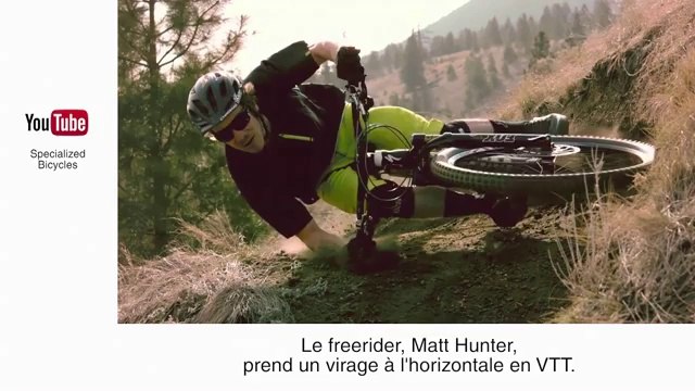 Zapping insolite: un ours chassé par deux chiens