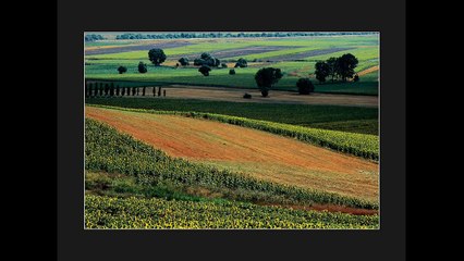 Ibrahim-ZAMAN-TARLALAR