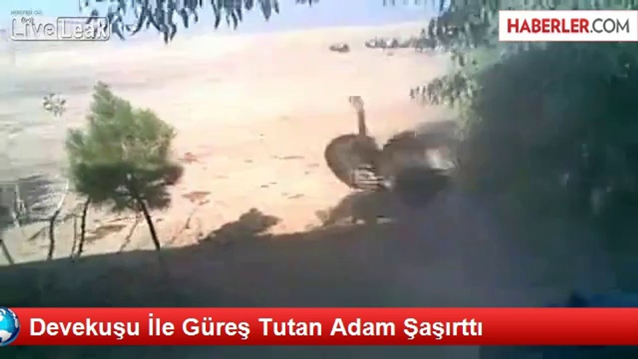Devekuşu İle Güreş Tutan Adam Şaşırttı