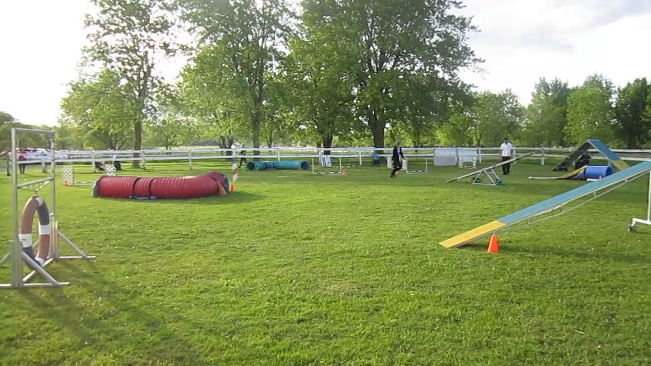 MVI_2037