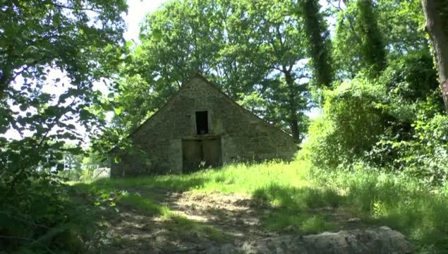 LES PROMENADES DE MICHOU W-D.D. - 18 MAI 2014 - ALLONS CHEMINER SUR LE CHEMIN NITOT A SUS.