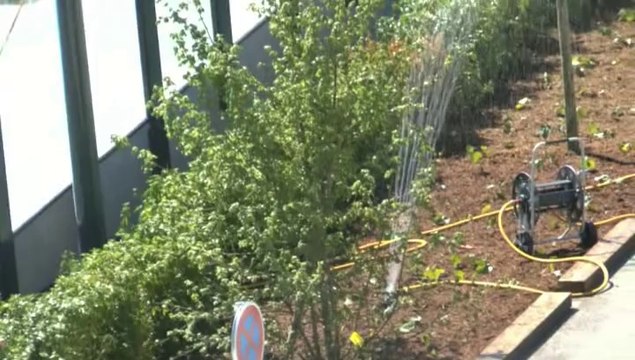 LES W-D.D. MICHOU FRIDAY NEWS - 16 MAI 2014 - STADE NAUTIQUE LE SOL DU SOLARIUM BRULE LES PIEDS DES BAIGNEURS