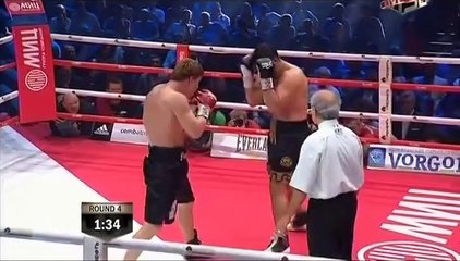Alexander Povetkin vs Manuel Charr 30 05 2014