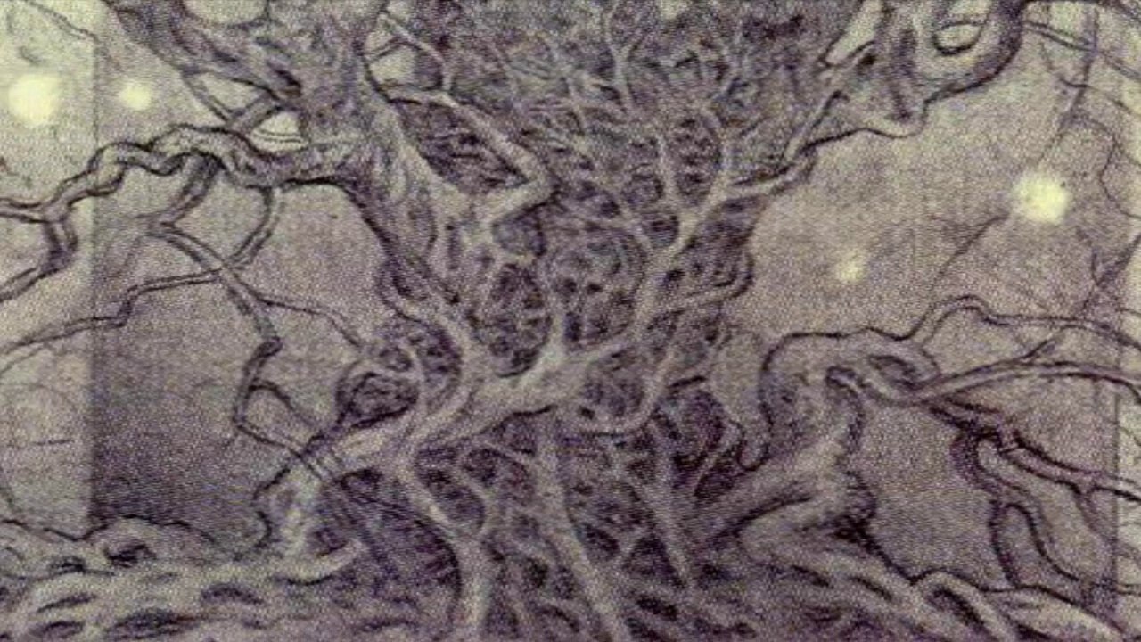 PHANTASIA  - Transparent Face 1972