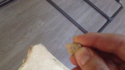 Xp Goldmaxx Power ile nugget altın testi