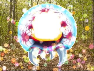 wayne entertainment films intro