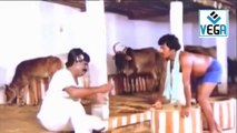 Enga ooru Kavalkaran Movie Best Scene -8