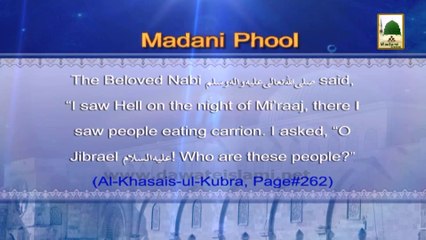 Madani Phool in English 12 - Meraj-un-Nabi (1)