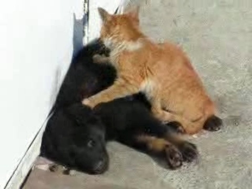 Rien de tel qu'un massage!!