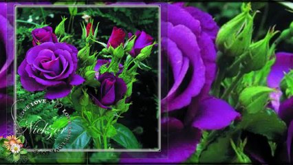 Koro - Ah Dağlar Serin Dağlar