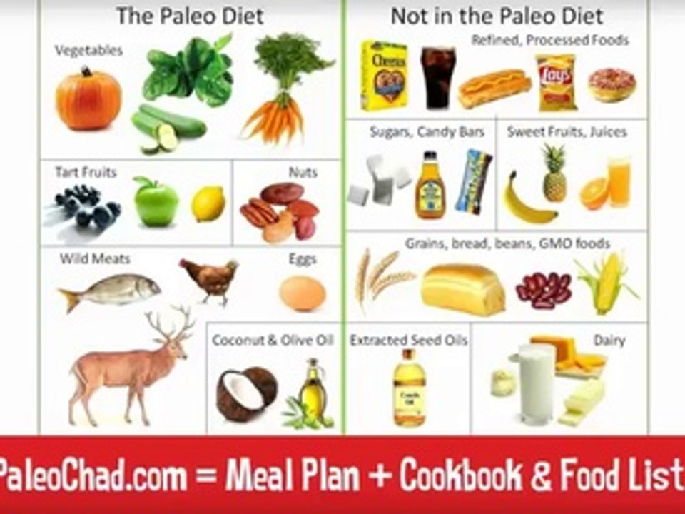 Paleo Diet Food List - Ultimate Food and Grocery List for the Paleo Diet