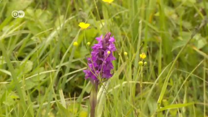 Schwerin - Three Travel Tips | Discover Germany