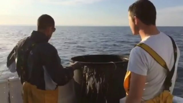 La pêche au thon rouge