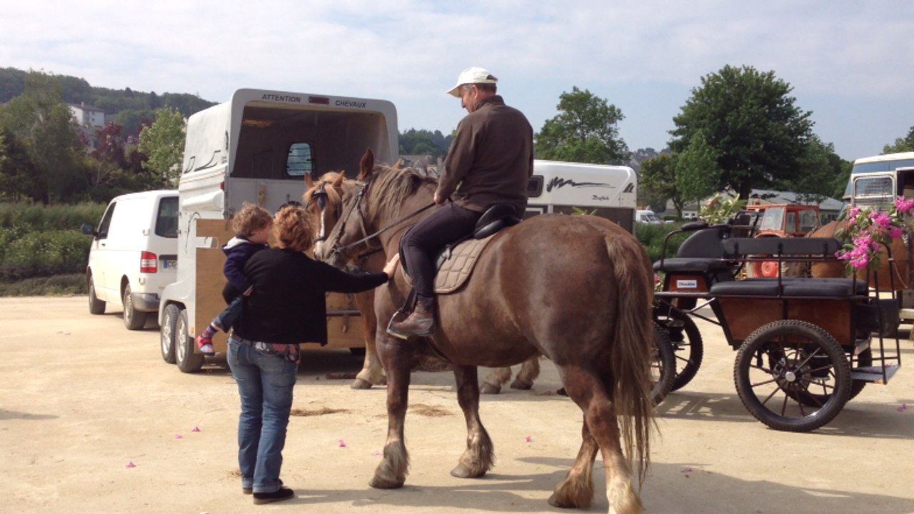 Fête du cheval