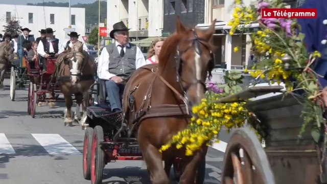 Landerneau. La fête du cheval mène fière allure