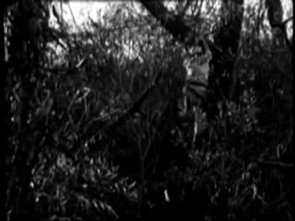 Lost City ep11