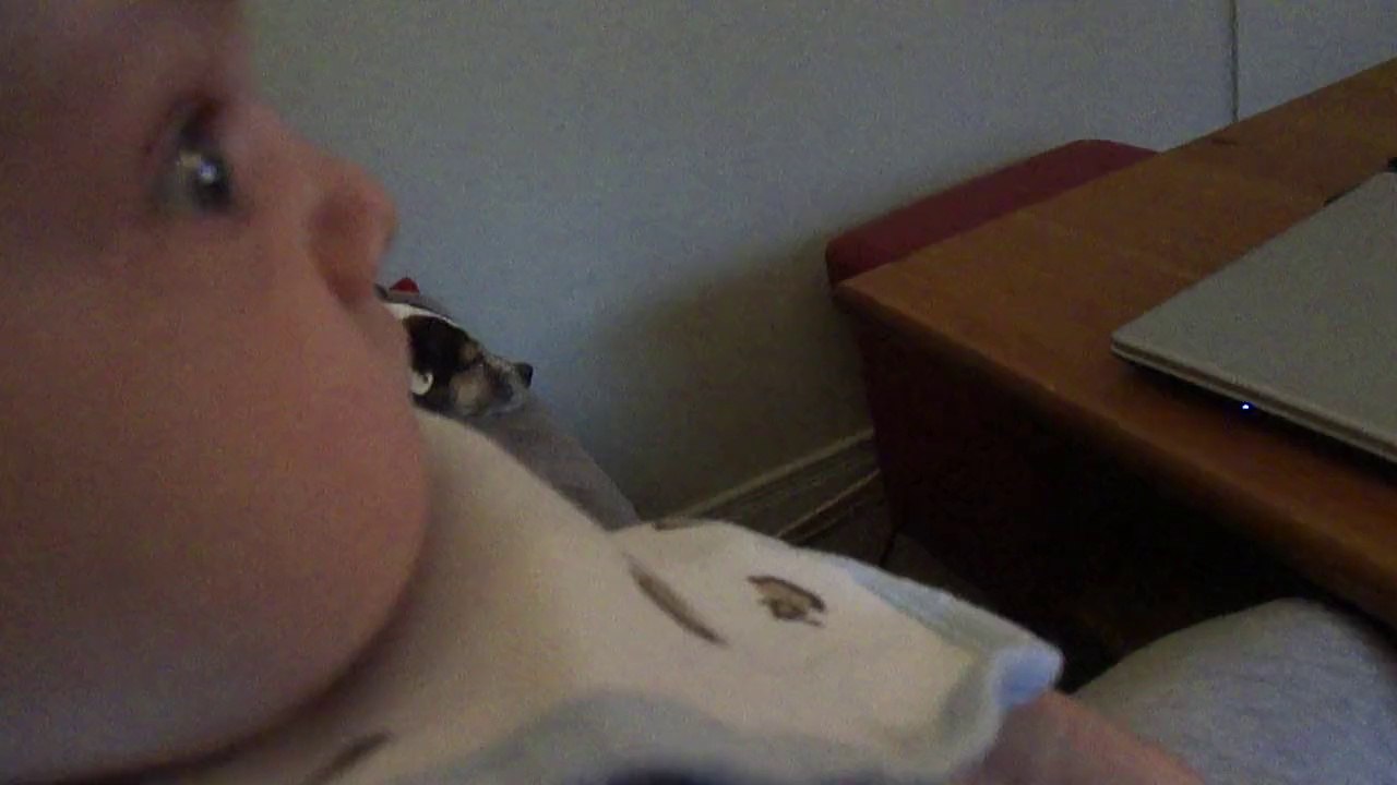 Jules, 2 mois 1/2, regarde Roland Garros