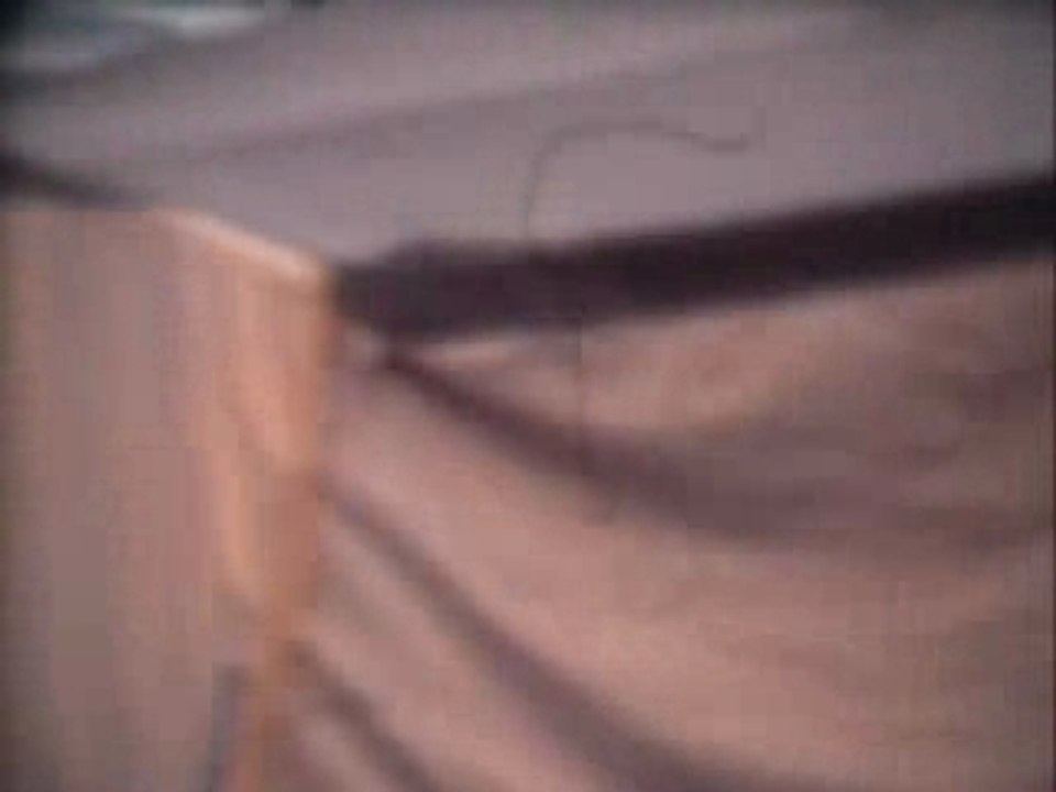 Czechtek 2002