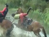 Chute de cheval  Fall Horse