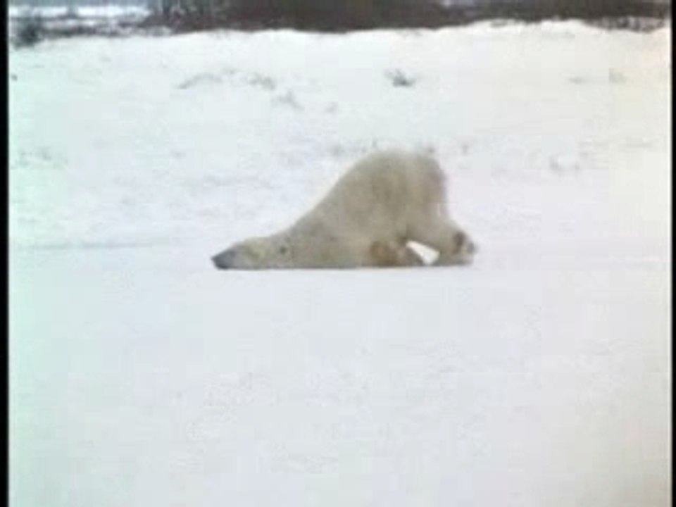 Aller au travail le matin