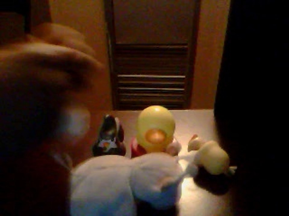 THE BIRD COMERICAL