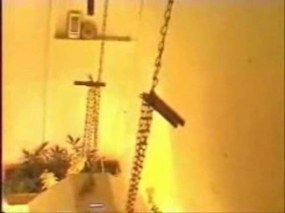 Cannabis culture hps 400w fev 2004 made