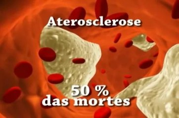 Por que ser vegetariano